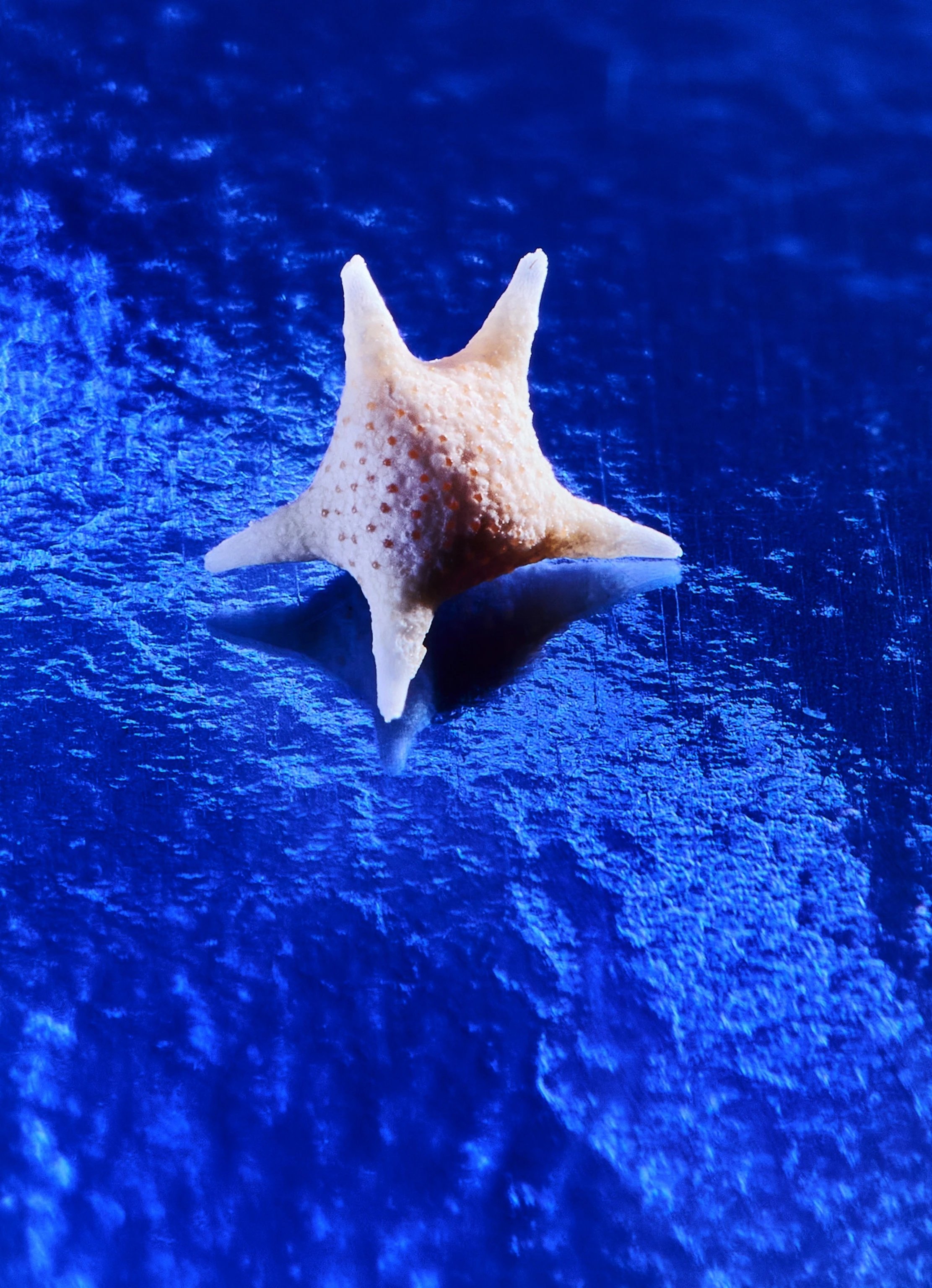 🗿 태양 기둥: 원시의 리듬 (선 필러: 프라이멀 리듬) 이미지 6